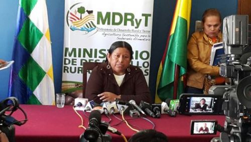 Aún no se conoce en qué se gastaron 1050 millones de bolivianos del Fondo Indígena