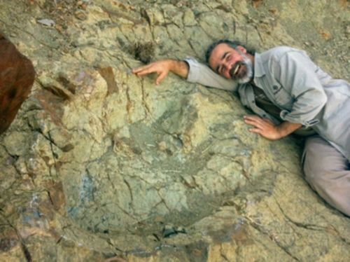Hallan en Bolivia huella gigante de dinosaurio carnvoro