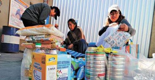 Ministra de Salud plantea la reducción de productos del Subsidio de Lactancia