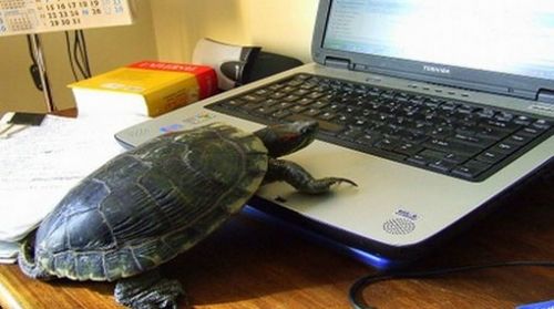 Bolivia tiene el penúltimo puesto en velocidad de Internet móvil de Sudamérica