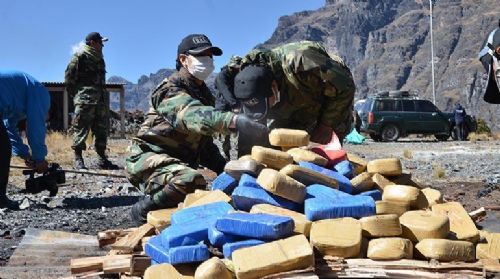 FELCN secuestra en Cochabamba 154 kilos de cocaína valuada en $us 2 millones