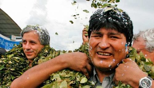 Cocaleros del Chapare quieren hacer un aporte anual de Bs 50 en vez de impuesto