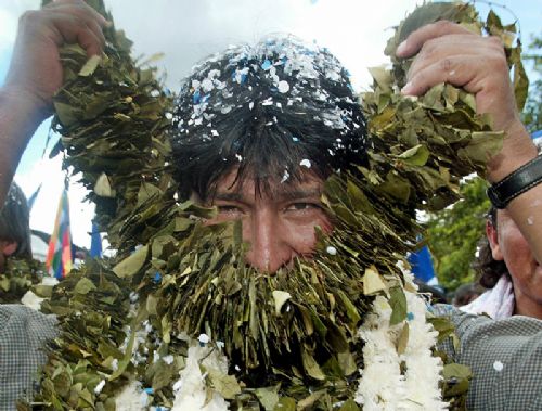 Evo Morales garantiza producción de la hoja de coca de por vida