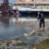 Más de 1.500 voluntarios recogen 100 toneladas de basura en el Titicaca Más de 1.500 voluntarios recogen 100 toneladas de basura en el Titicaca