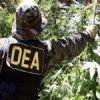 Evo Morales dice que donde exista DEA y bases militares de EEUU crece narcotráfico Evo Morales dice que donde exista DEA y bases militares de EEUU crece narcotráfico
