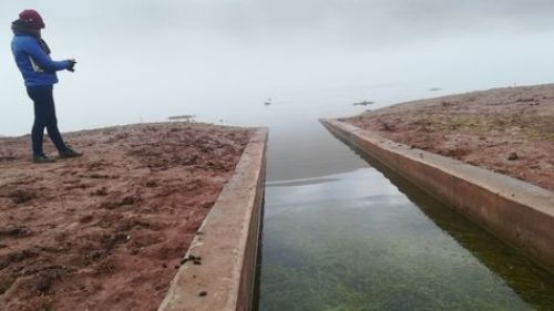 Gobierno invierte Bs. 132 millones en construcción de cinco represas en Oruro