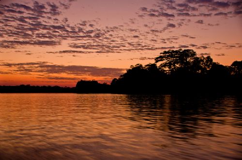 El Gobierno permitirá que cooperativas mineras exploten oro en el río Madre de Dios