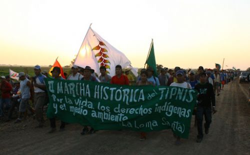 En 10 años, 58 territorios indígenas fueron golpeados por las quemas e incendios