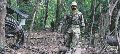 Las áreas protegidas son utilizadas por el narcotráfico con más de 300 pistas ilegales