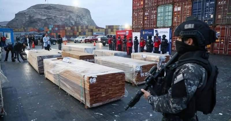 Bolivia: 100 toneladas de droga decomisadas en Chile
