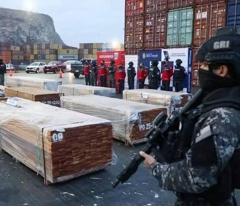 Bolivia: 100 toneladas de droga decomisadas en Chile
