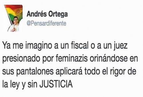 Caso Kushner: Exdiputado califica como feminazis a las mujeres