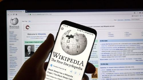 Diputados del MAS copiaron textos de Wikipedia para su proyecto de ley de Defensores de la Democracia